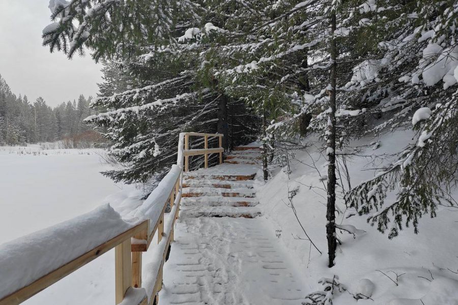 More than 370 hectares of land identified in the Sverdlovsk Region under Rosreestr's "Land for Tourism" project